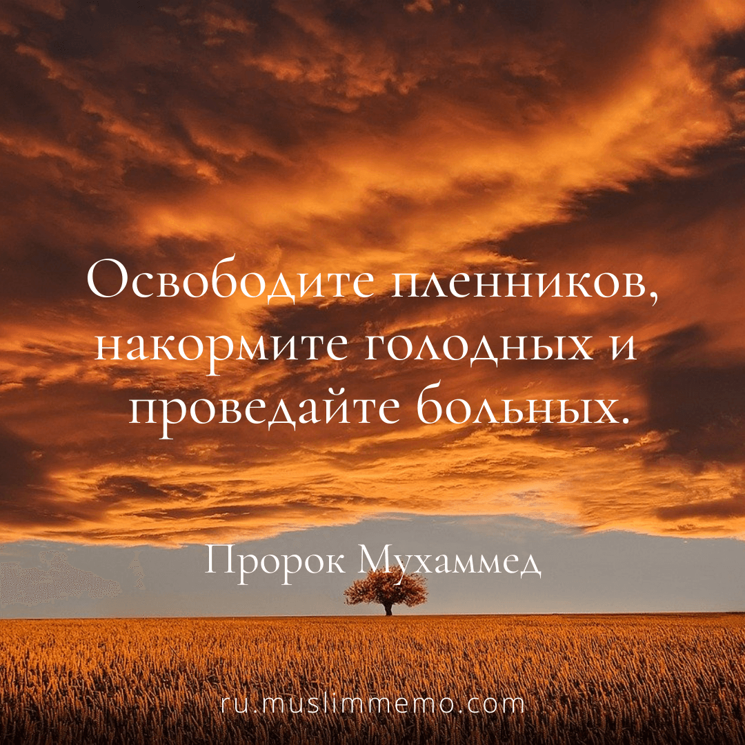 Islamic Quote Mohammed 10