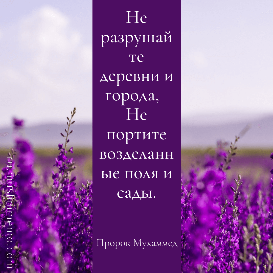 Islamic Quote Mohammed 04