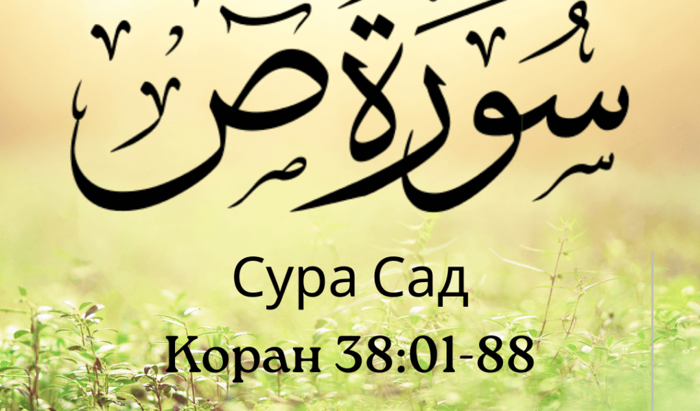 Сура Сад