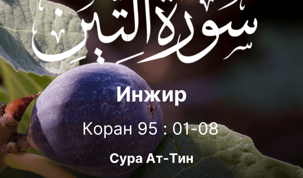 Сура Ат-тин